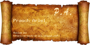 Prasch Ariel névjegykártya